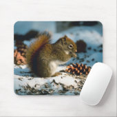 アカリス マウスパッド (マウス)