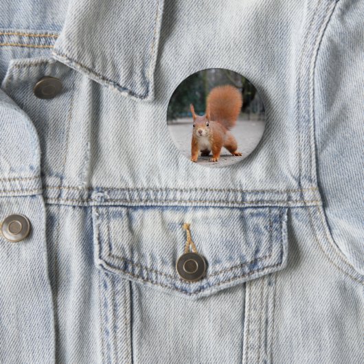 アカリス 缶バッジ (インサイチュ)