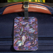 アカリパヴィルケシアナ