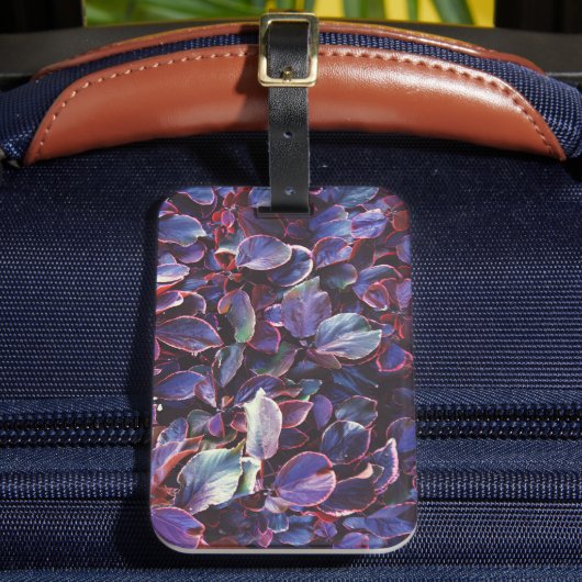 アカリパヴィルケシアナ ラゲッジタグ (正面インサイチュ2)