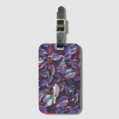 アカリパヴィルケシアナ ラゲッジタグ (正面縦)