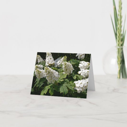 アカリーフアジサイ ノートカード (正面)