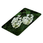 アカリーフアジサイ マグネット (左側)