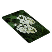 アカリーフアジサイ マグネット (右側)