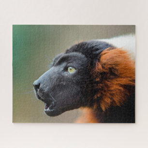 アカワタシロアリ. ジグソーパズル