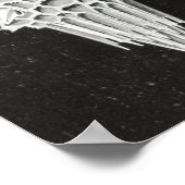 アカンソフラッタ、ワunderstrahlinge水中競技動物 ポスター (角)