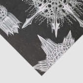 アカンソフラッタ、ワunderstrahlinge水中競技動物 薄葉紙 (詳細)