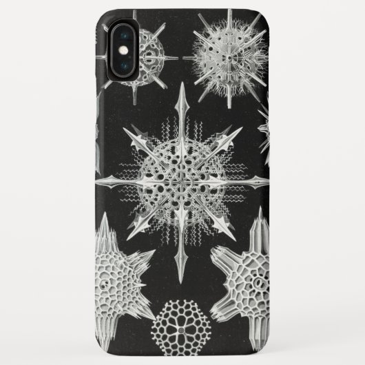 アカンソフラッタ、ワunderstrahlinge水中競技動物 Case-Mate iPhoneケース (裏面)