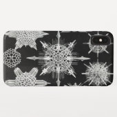 アカンソフラッタ、ワunderstrahlinge水中競技動物 Case-Mate iPhoneケース (裏面(横))