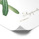 アガカンサス属 ポスター (角)