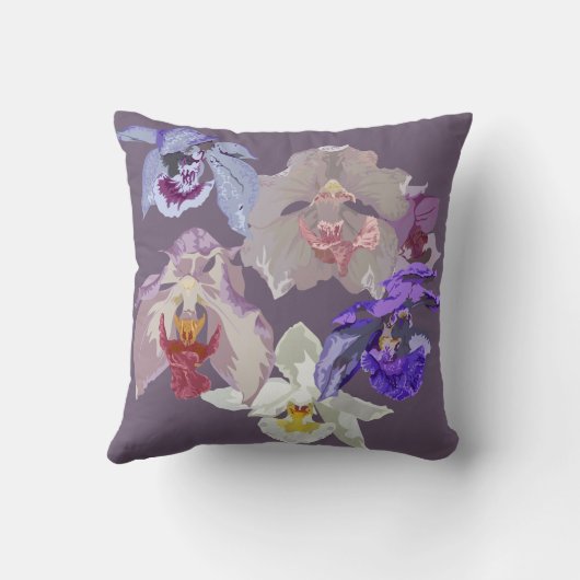 アガニシアラン クッション (裏面)