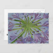 アガパンサ威厳があるス ポストカード (正面/裏面)