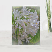 アガパンツスリリー花フローラアートノートカード カード (正面)