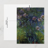 アガパンツス ポストカード (正面/裏面)