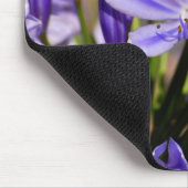 アガパンツス マウスパッド (コーナー)