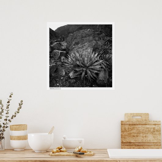 アガブイン深いキャニオン砂漠研究場 ポスター (キッチン)