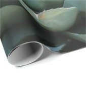 アガブ多肉植物サボスグリーンセージ灰色 ラッピングペーパー (ロールコーナー)