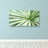 アガブ植物緑と白ストライプの色 キャンバスプリント (インサイチュ (ウッドフロア))
