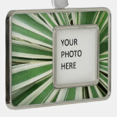 アガブ植物緑と白ストライプの色 シルバープレートフレームオーナメント (右)
