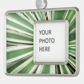 アガブ植物緑と白ストライプの色 シルバープレートフレームオーナメント (左)