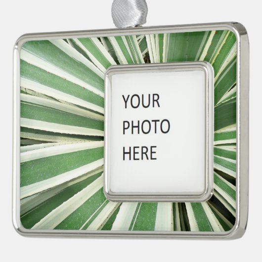アガブ植物緑と白ストライプの色 シルバープレートフレームオーナメント (左)
