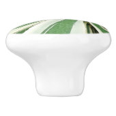 アガブ植物緑と白ストライプの色 セラミックノブ (側面)
