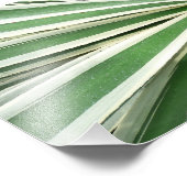 アガブ植物緑と白ストライプの色 フォトプリント            (角)