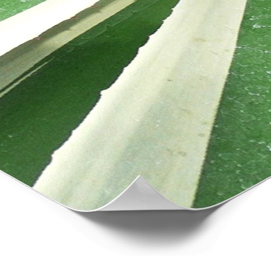 アガブ植物緑と白ストライプの色 ポスター (角)