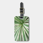 アガブ植物緑と白ストライプの色 ラゲッジタグ (正面縦)