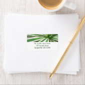 アガブ植物緑と白ストライプの色 ラベル (インサイチュ)