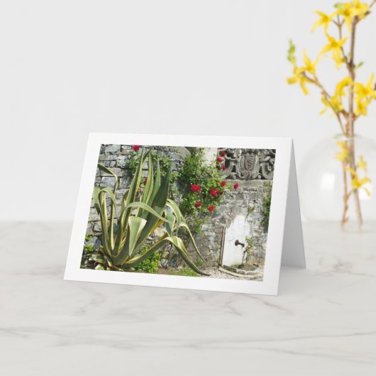 アガベとバラ カード (黄色い花)