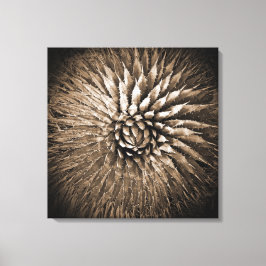 アガベのスパイク セピアプリント キャンバス 22" x 22"