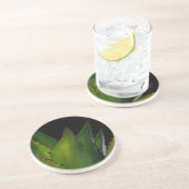 アガベの光 コースター (側面)