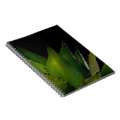 アガベの光 ノートブック (右側)