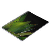 アガベの光 ノートブック (左側)