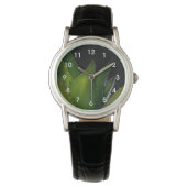 アガベの光 腕時計 (正面)