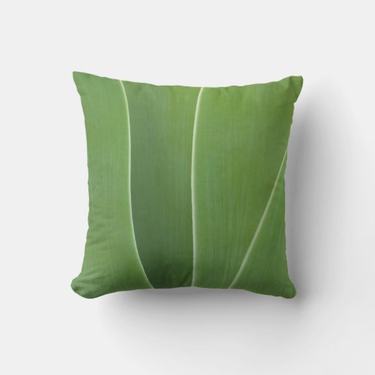 アガベの植物のクローズアップ クッション (正面)