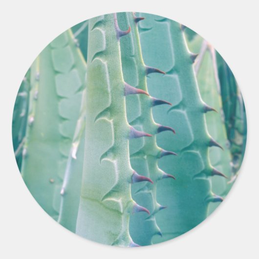 アガベの植物のパターン ラウンドシール (正面)