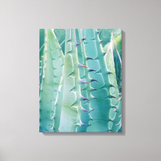 アガベの植物の模様 キャンバスプリント (正面)