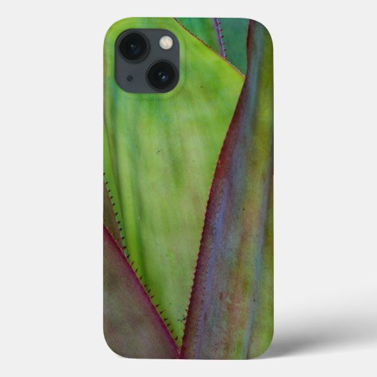 アガベの植物の詳細 Case-Mate iPhoneケース (裏面)