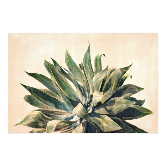 アガベの水の色絵を描の南西のセージ緑 フォトプリント (正面)