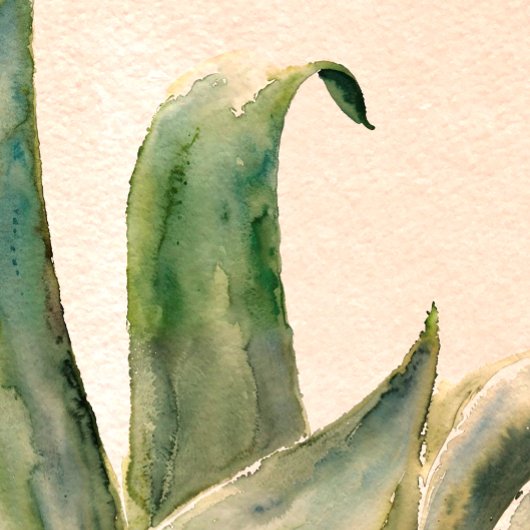 アガベの水の色絵を描の南西のセージ緑 フォトプリント           