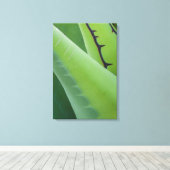 アガベの閉鎖 キャンバスプリント (インサイチュ (ウッドフロア))