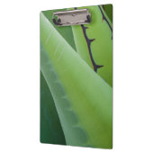 アガベの閉鎖 クリップボード (左)