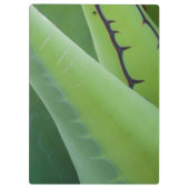 アガベの閉鎖 クリップボード (裏面)