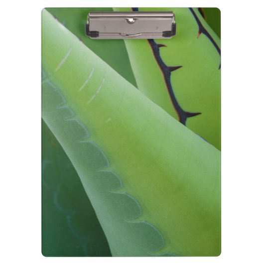 アガベの閉鎖 クリップボード (正面)