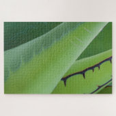 アガベの閉鎖 ジグソーパズル (横)