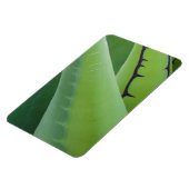 アガベの閉鎖 マグネット (左側)