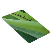 アガベの閉鎖 マグネット (右側)