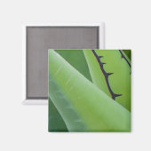 アガベの閉鎖 マグネット (正面/裏面)